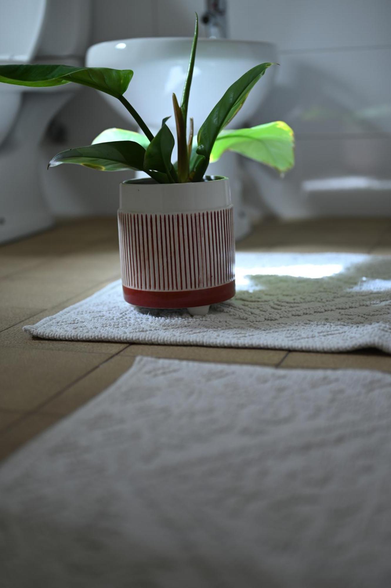 Niche Boutique 4* Tiranë